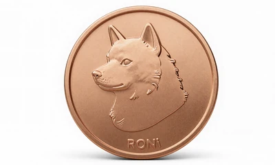 Dogecoin Bronzem&uuml;nze mit Shiba Inu Motiv